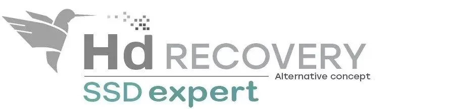 Hd Recovery logo3